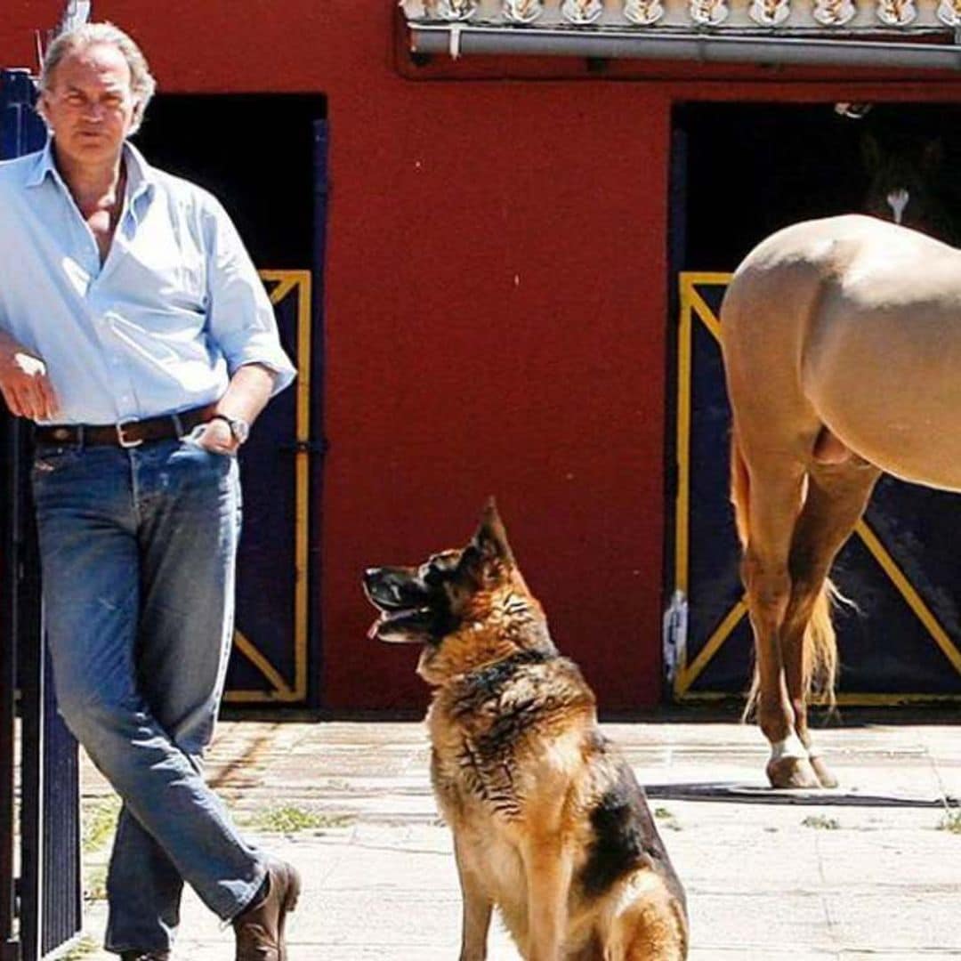 Bertín Osborne ofrece una recompensa para encontrar a su perro perdido
