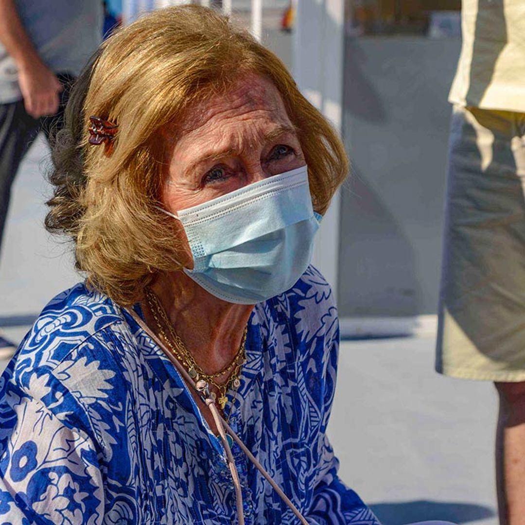 Desde dentro y detalle a detalle: el curioso vídeo de la reina Sofía durante la liberación de una tortuga