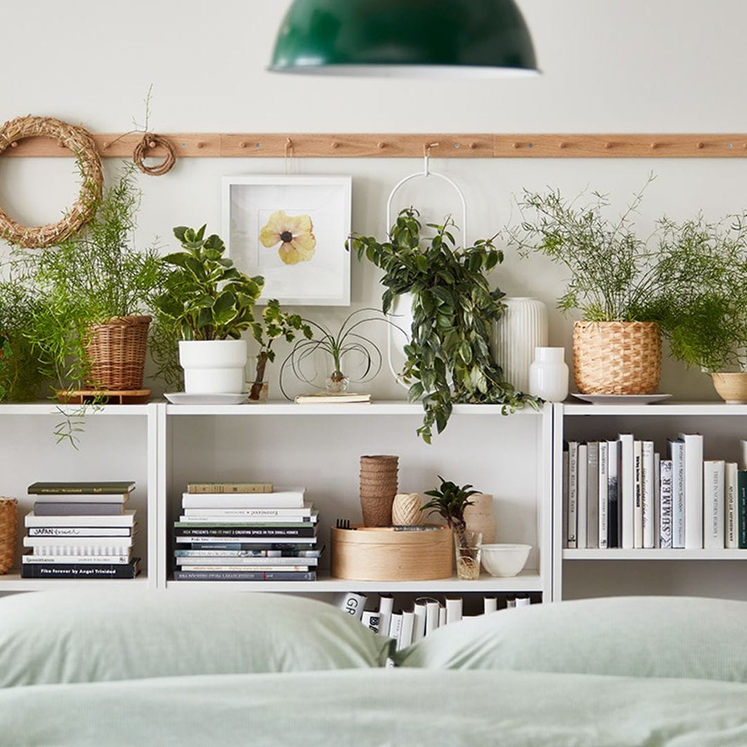 ¿Quieres alquilar tu casa más rápido? Ideas para decorarla y conquistar a tu futuro inquilino