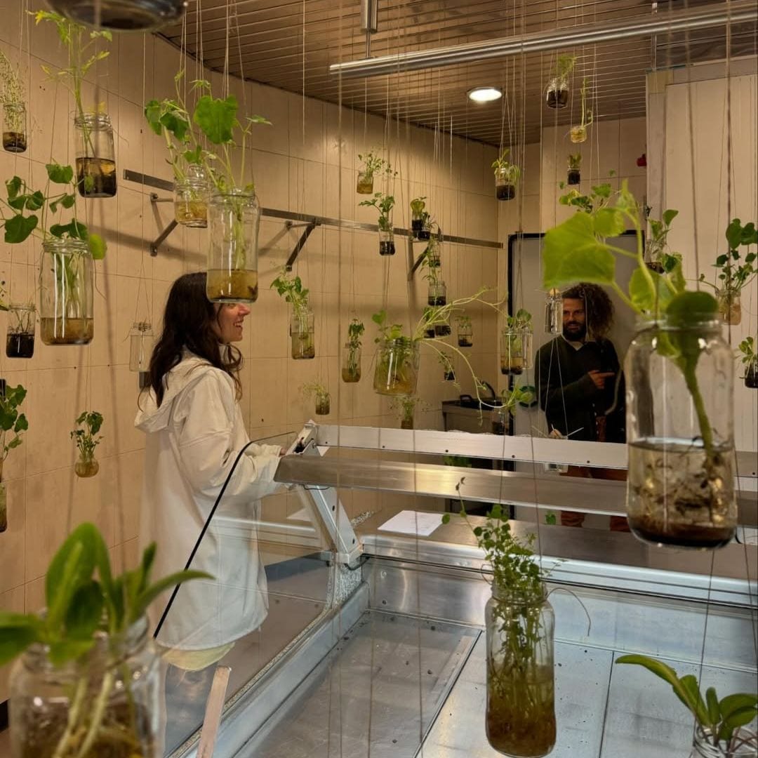 Galería Ocupa, Oporto, Portugal