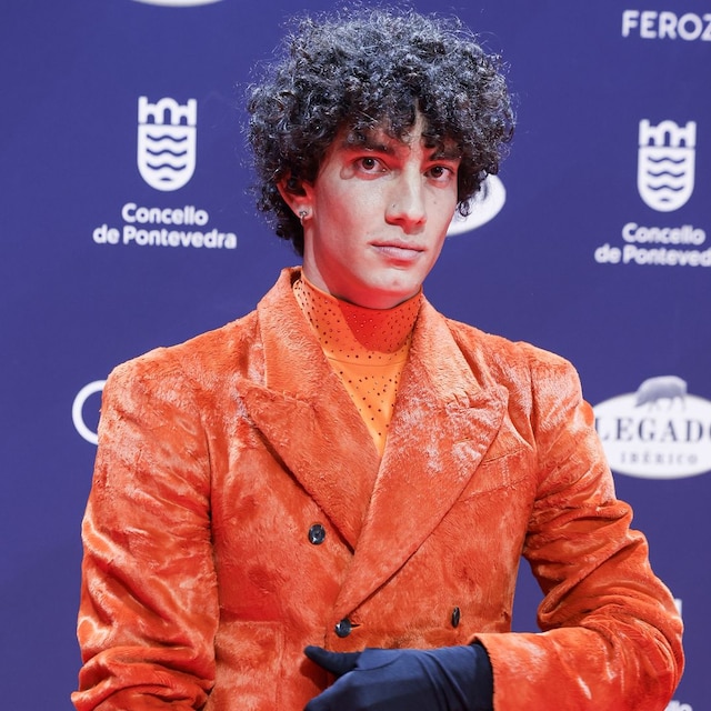 ALFOMBRA ROJA PREMIOS FEROZ 2025
