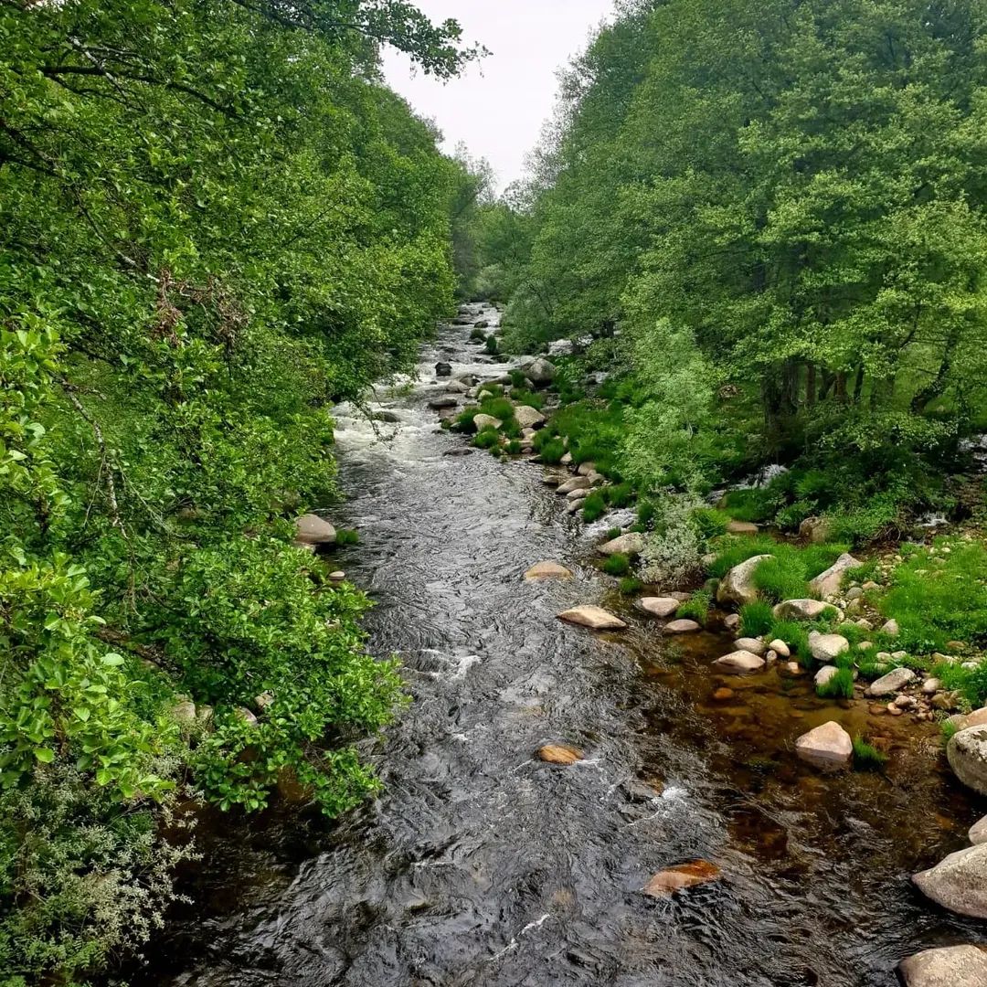 Garganta de Bohoyo, Sierra de Gredos, Ávila