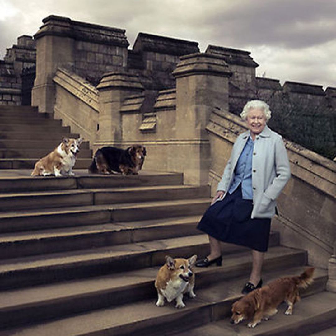 Isabel II pierde a uno de sus compañeros más fieles, su mascota 'Holly'