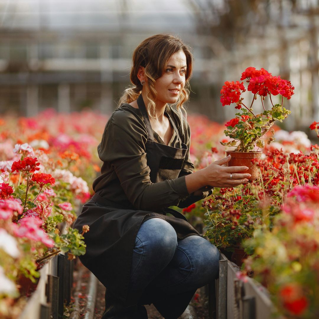 Por qué acudir a un vivero puede transformar tu jardín: consejos para elegir las plantas adecuadas