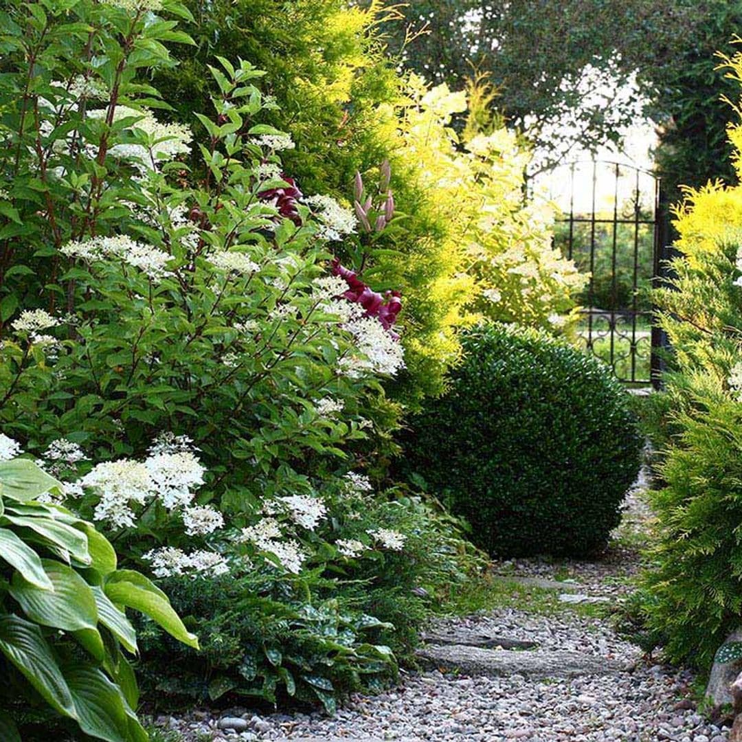 'Slow gardening', una forma diferente de entender el cuidado de tu jardín