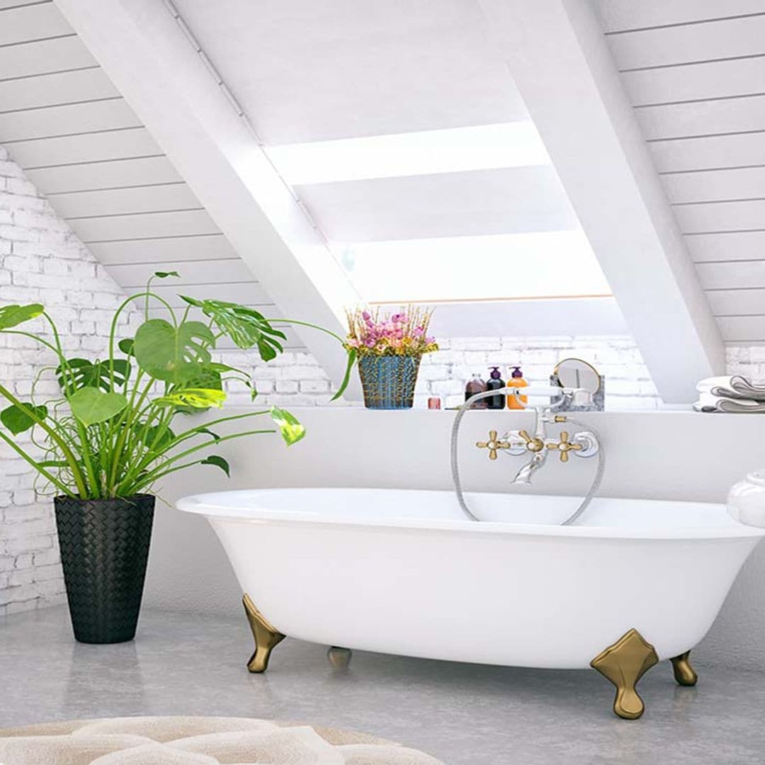 Las mejores plantas de interior para decorar el baño y convertirlo en un vergel