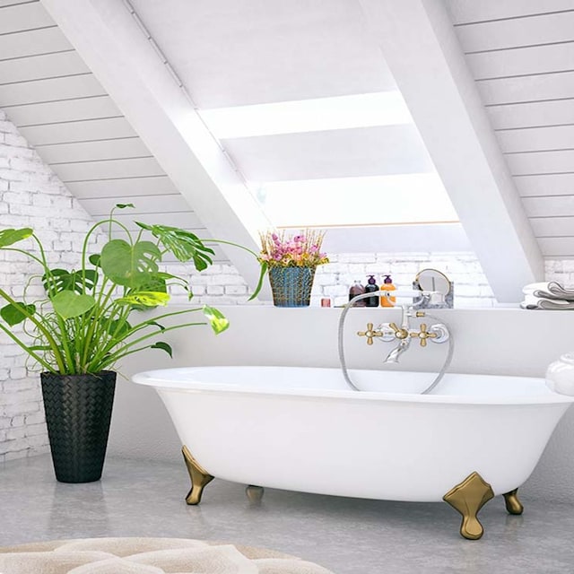 plantas decorar bano