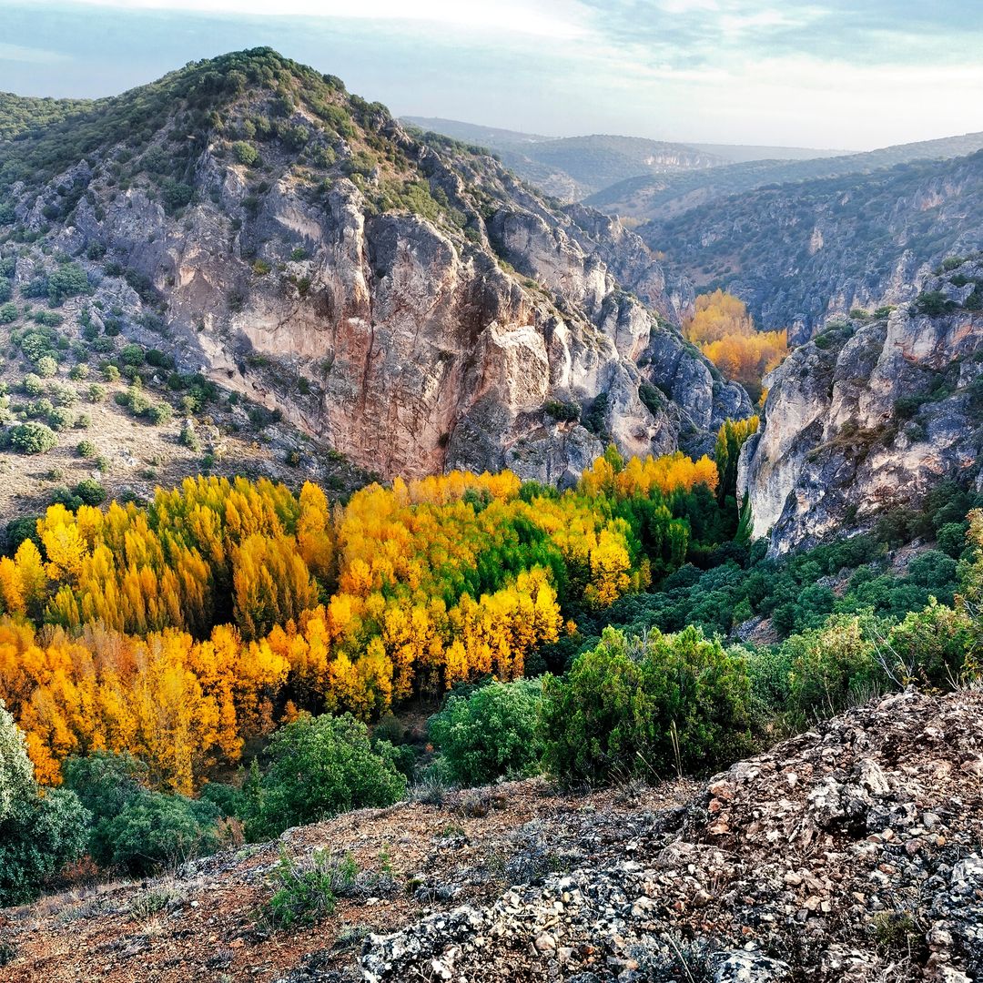 Cañón Río Dulce, a su paso por Aragosa.