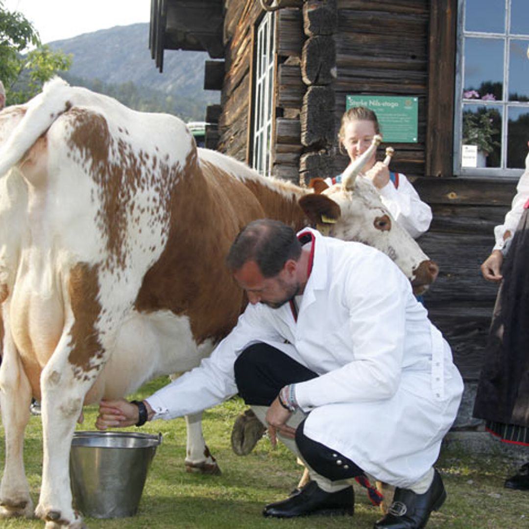 ¿Unos príncipes ordeñando una vaca? Mette-Marit y Haakon de Noruega demuestran que es posible