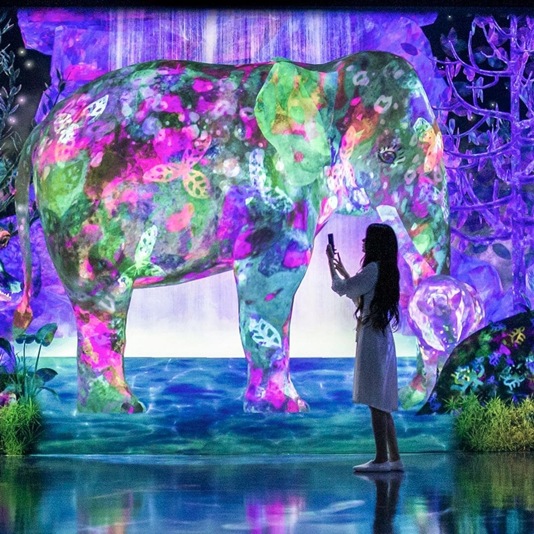 teamLab Borderless, una experiencia inmersiva única en el mundo