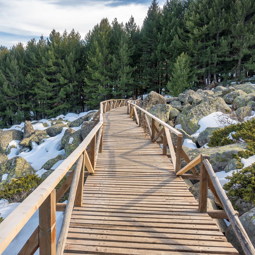 sendero por el Parque Natural Vitosha, Bulgaria