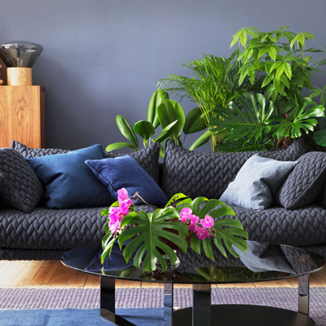 Cómo cuidar tus plantas en vacaciones