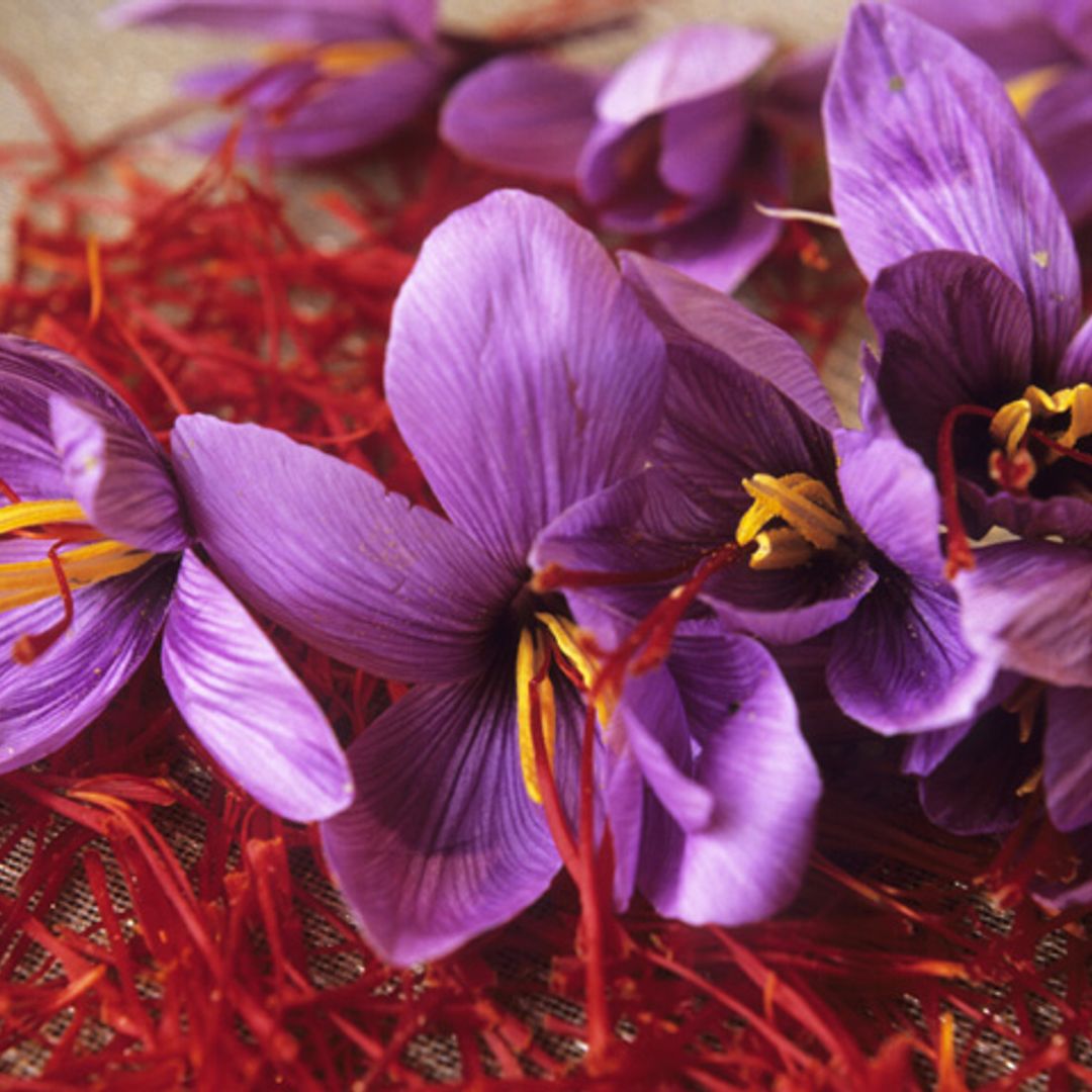 Azafrán: el oro rojo de la cocina en edición limitada