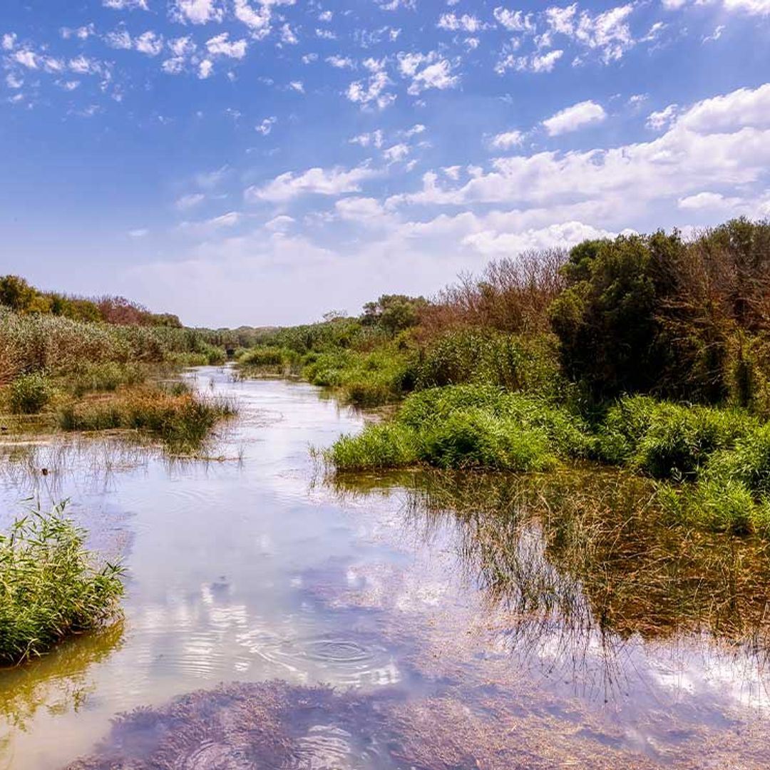 S´Albufera, una marisma de aires míticos en la isla de Mallorca