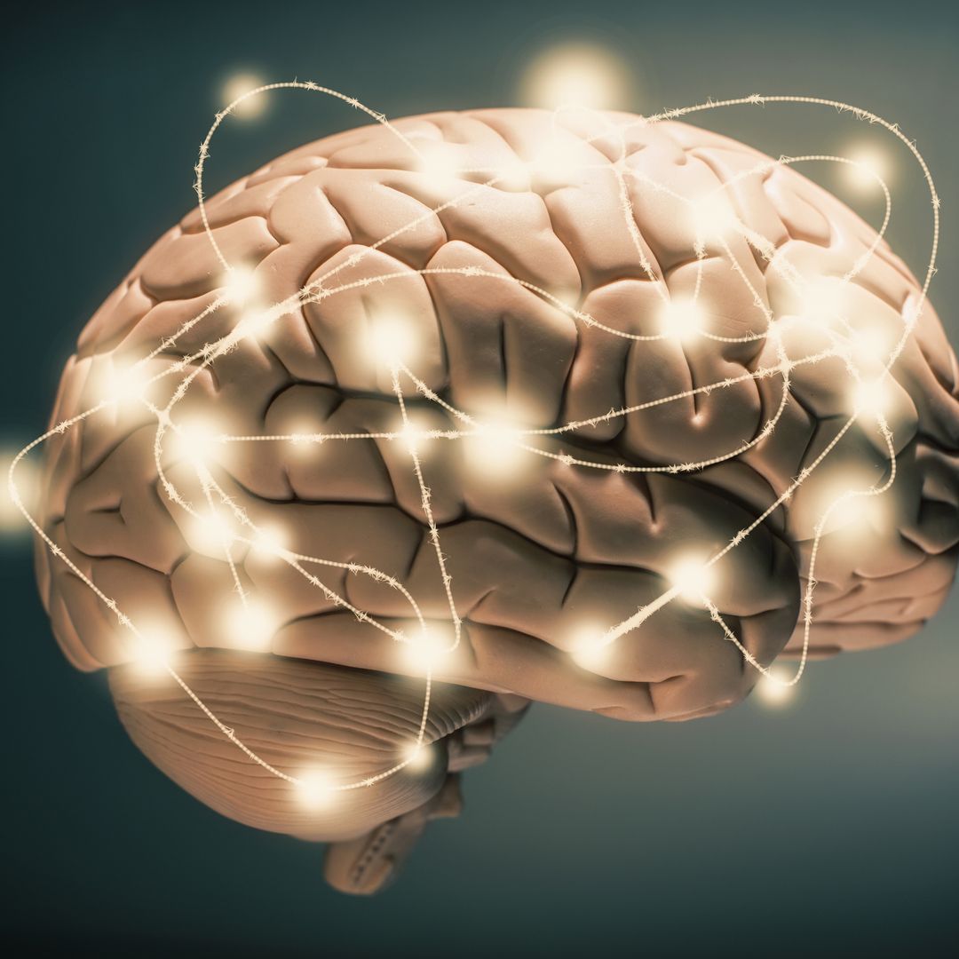 La ciencia lo confirma: el cerebro humano sigue ganando a la IA cuando toca aprender cosas nuevas