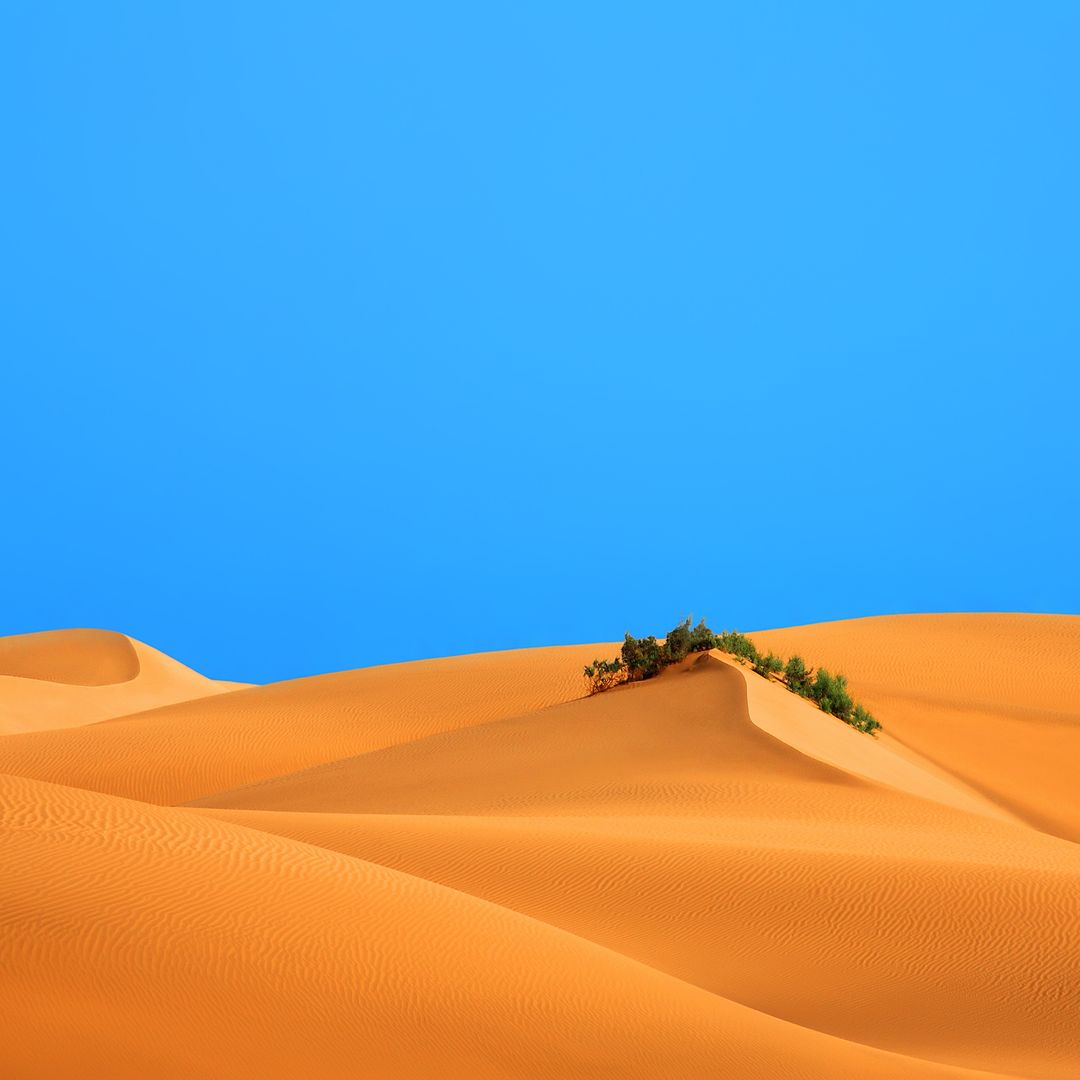 Dunas protegidas de la playa de Maspalomas, Gran Canarias