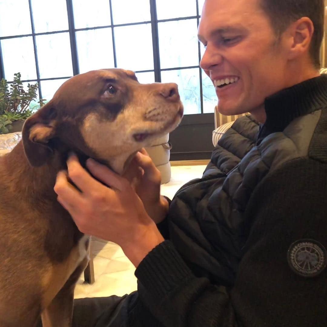 Tom Brady revela que su perro Junie es un clon de Lua, su mascota que murió hace dos años