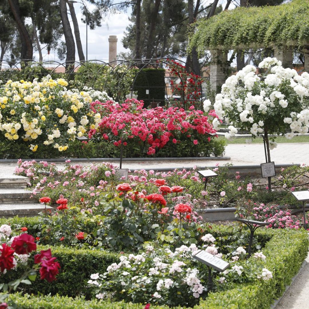 La primavera llega cargada de planes irresistibles: paseos entre rosas, un tren lleno de fresas, la Noche de los Museos y mucho arte