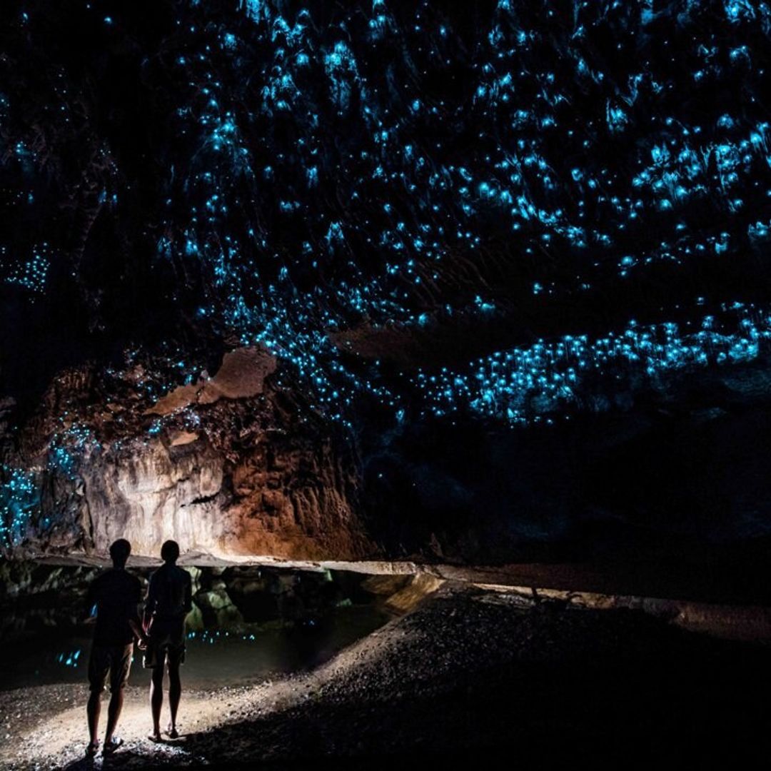 Luces, cámara y... ¡naturaleza!