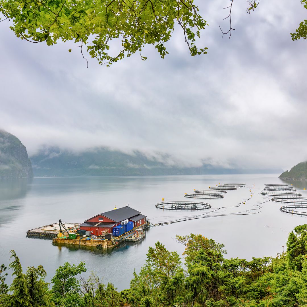 Este trabajo en Noruega ofrece más de 3.000 euros al mes y no exige experiencia: estas son las condiciones y cómo solicitarlo