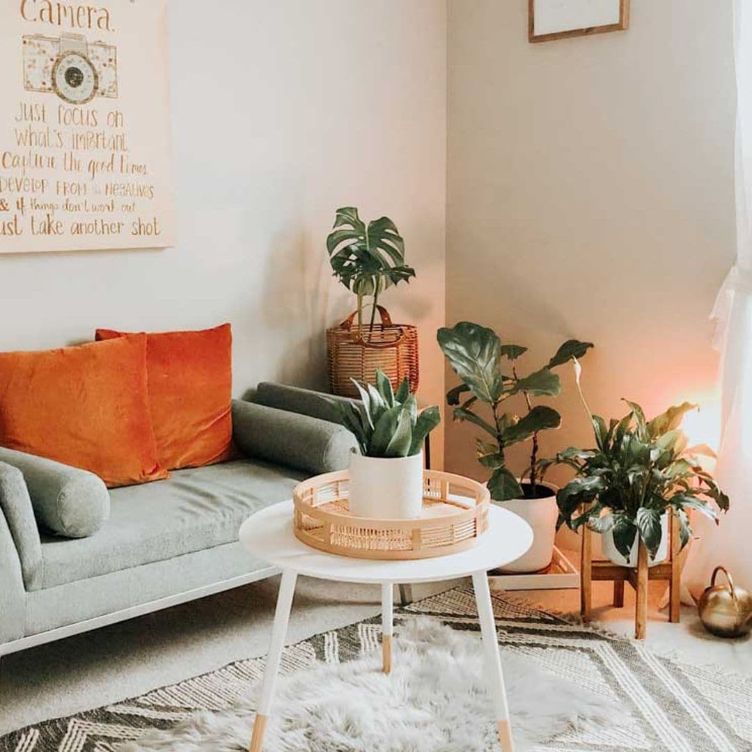 ¿Quieres decorar tu casa y no sabes por dónde empezar? ¡Sigue leyendo!
