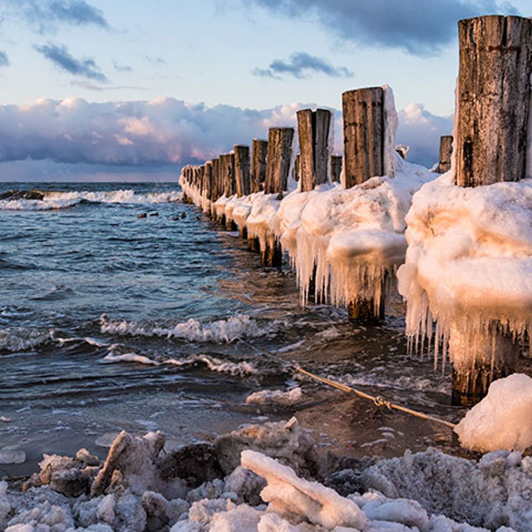 ¿A diez años de un colapso climático?