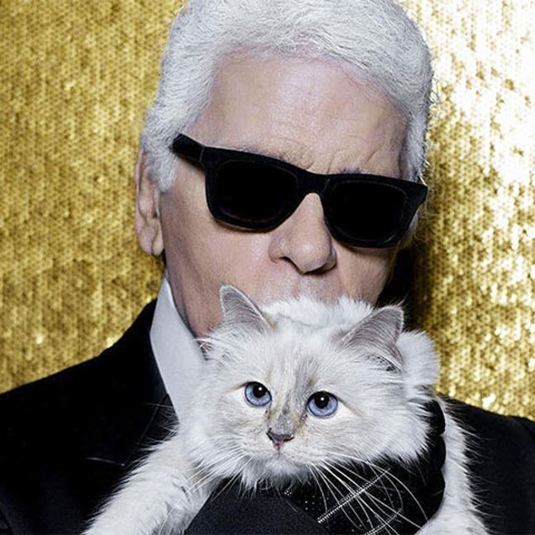 Choupette, la gatita de Karl Lagerfeld que heredará parte de su fortuna