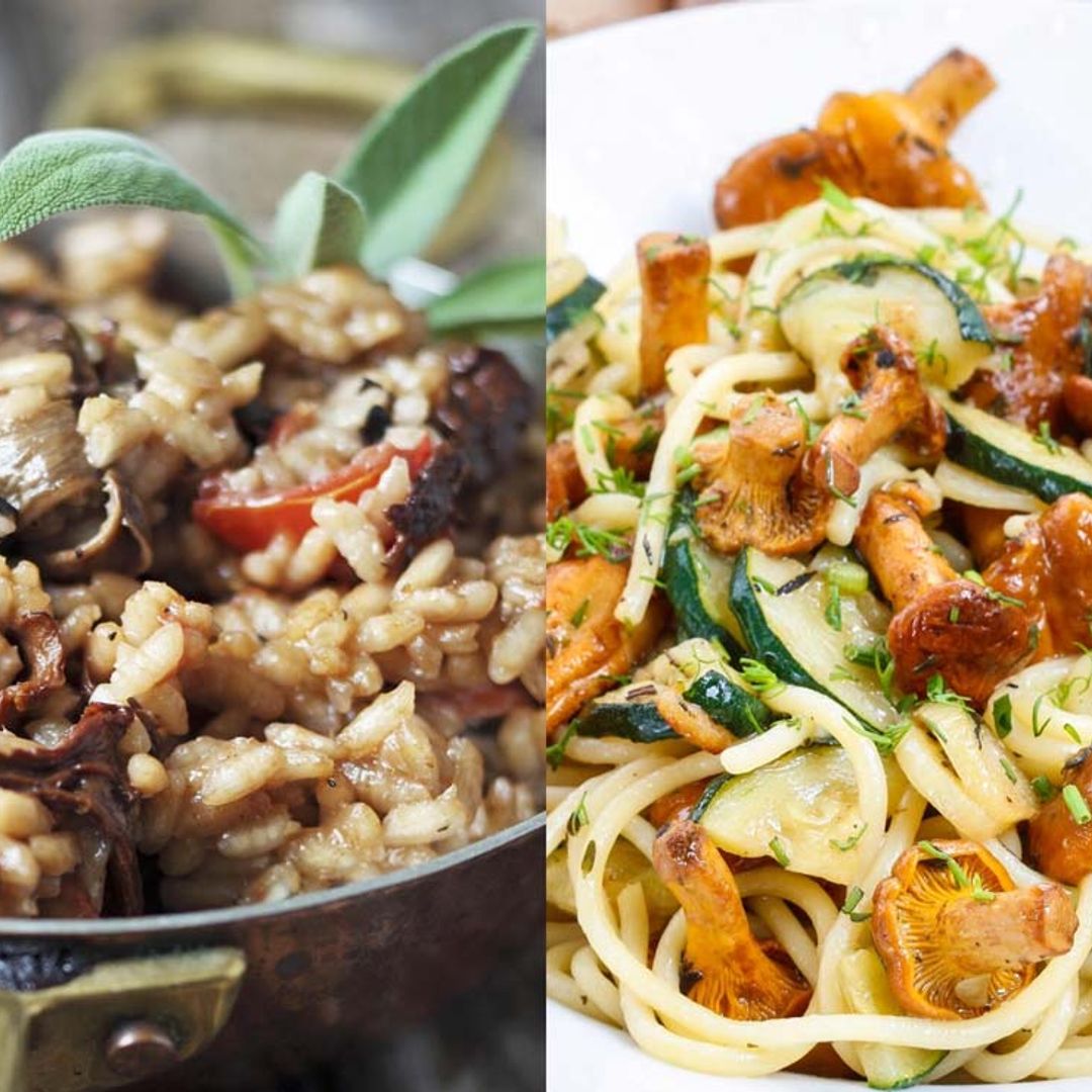 Pastas y arroces con setas, un placer de temporada