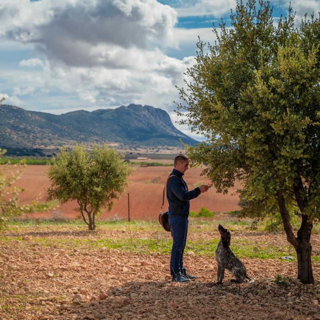 Visita a la finca con perros truferos adiestrados 