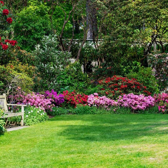 insecticidas jardin