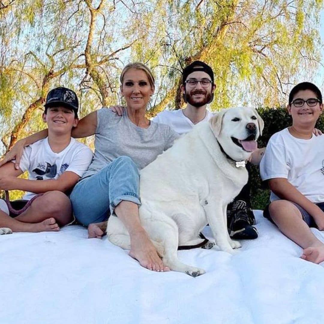 Así están afrontando los gemelos de 11 años de Céline Dion la dura enfermedad de su madre