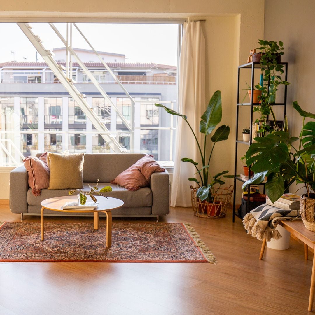 Las 8 plantas de interior más bonitas para decorar tu salón esta primavera 2025