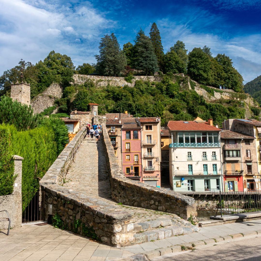 Puente Pont Nou, Camprodon, Girona