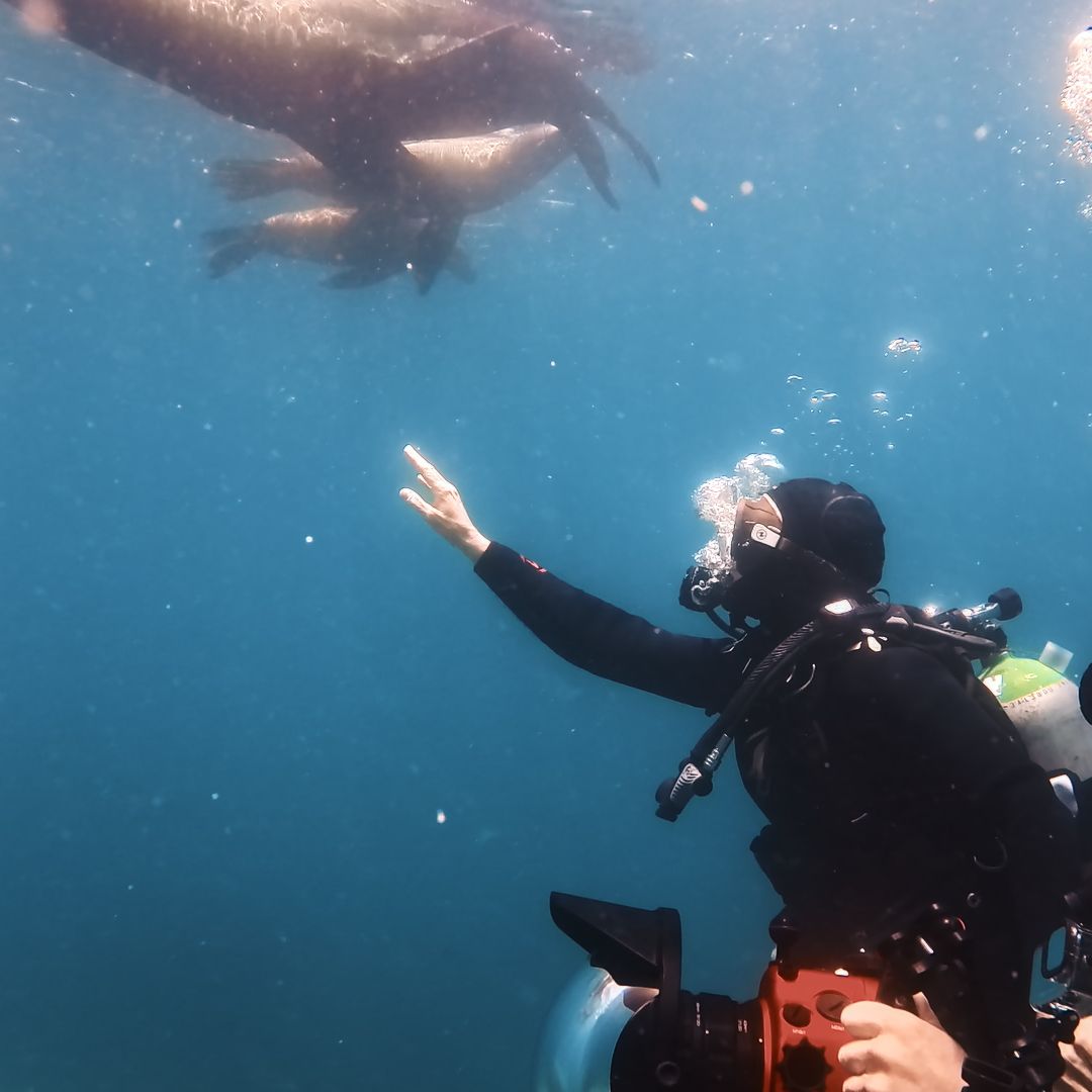Gotzon Mantuliz y Silvia Abril en Baja California Sur, méxico