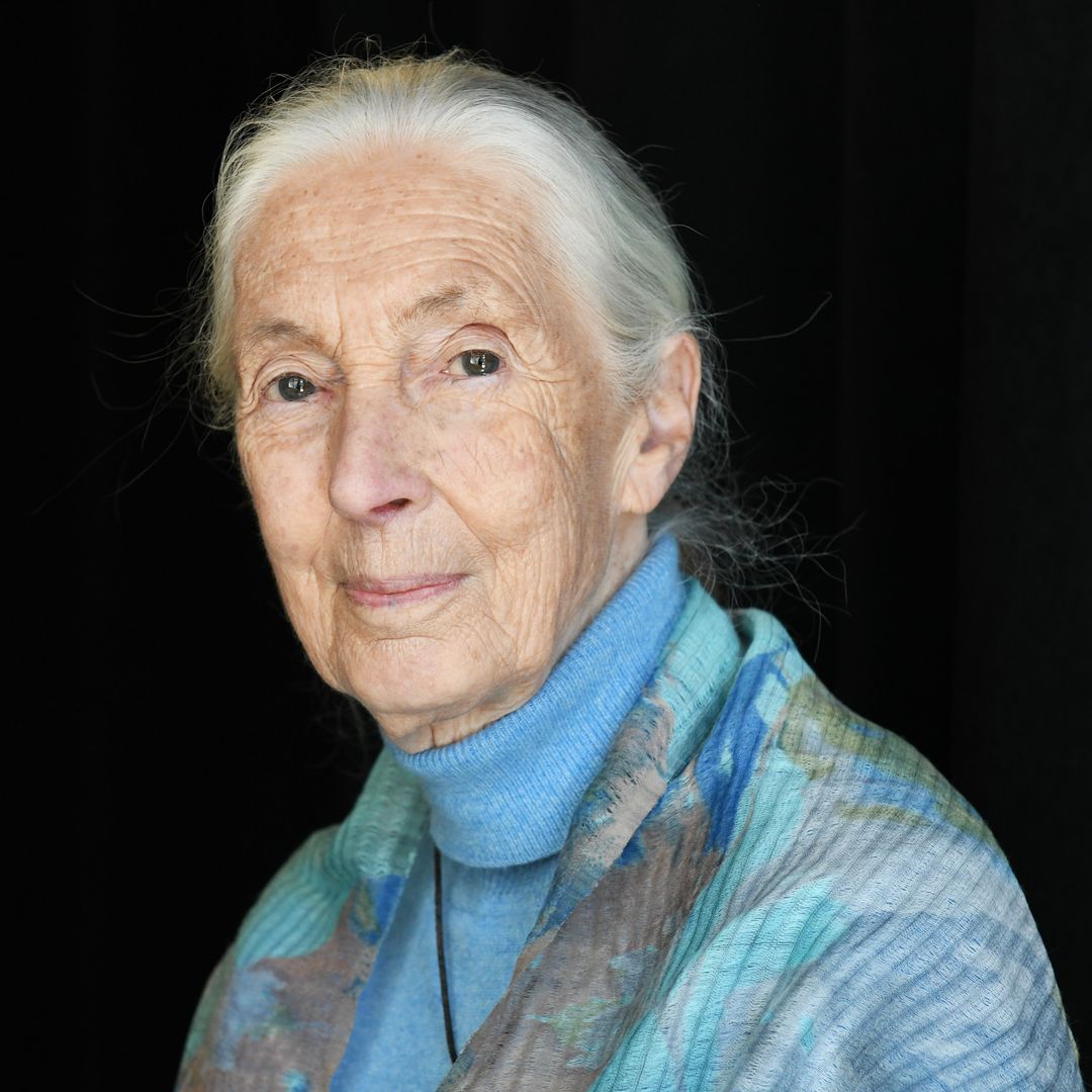 La lección final de Jane Goodall: 10 frases que nos recuerdan que "cada individuo marca la diferencia"