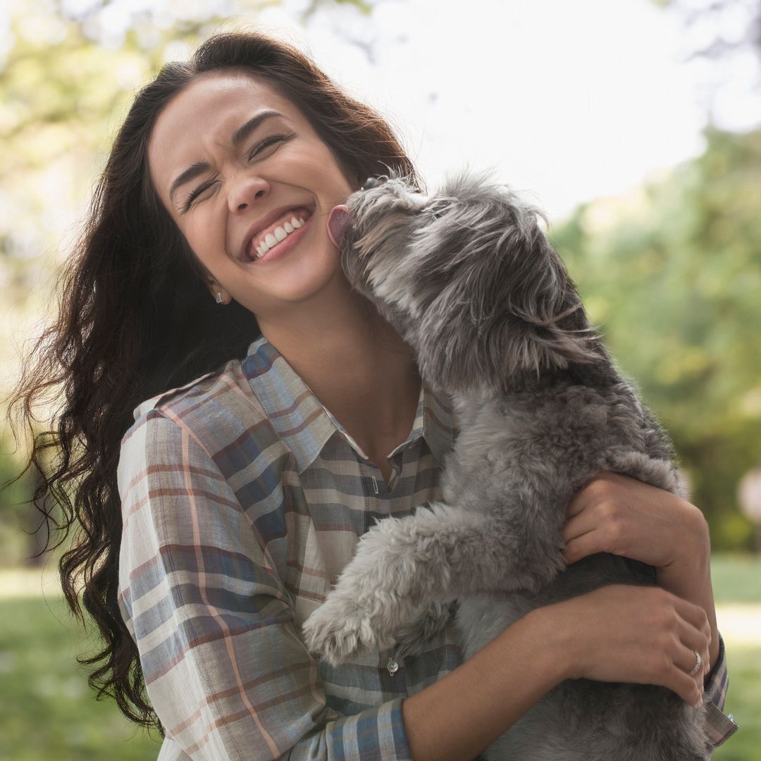 El verdadero significado de los lamidos de tu perro, explicado por un veterinario