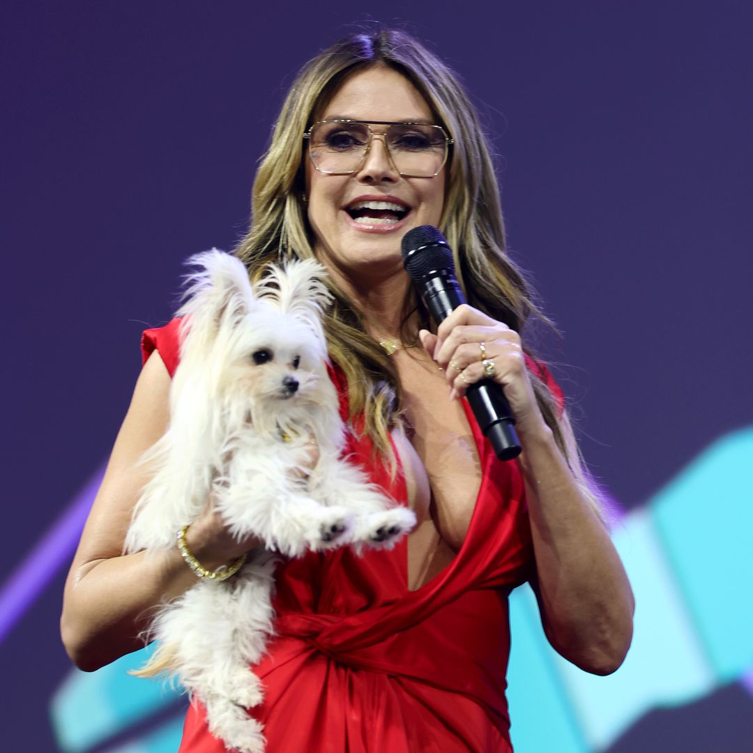 Las insólitas imágenes de Heidi Klum con su cachorrito en una conferencia: "Tengo que llevarlo conmigo a todas partes"