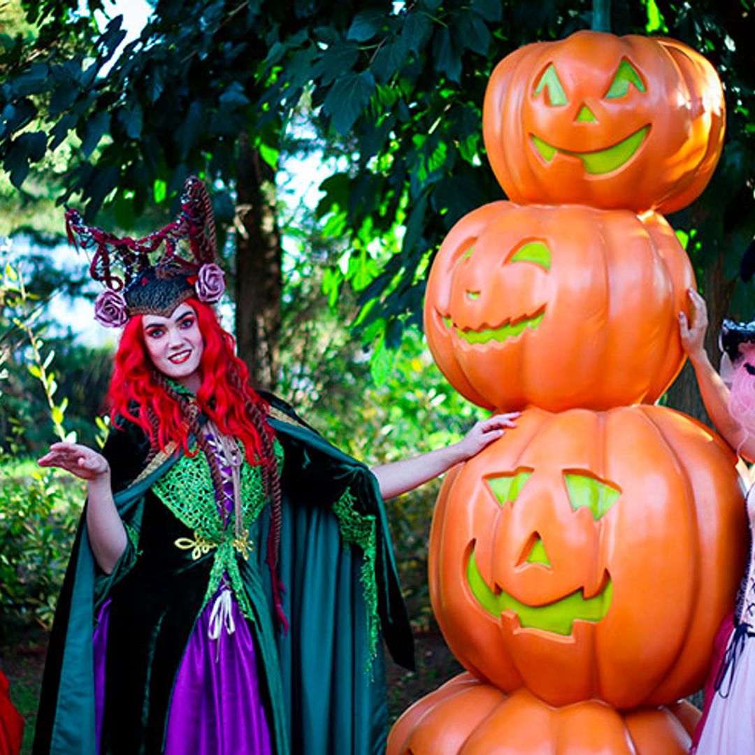 Planes inquietantes para celebrar Halloween este año