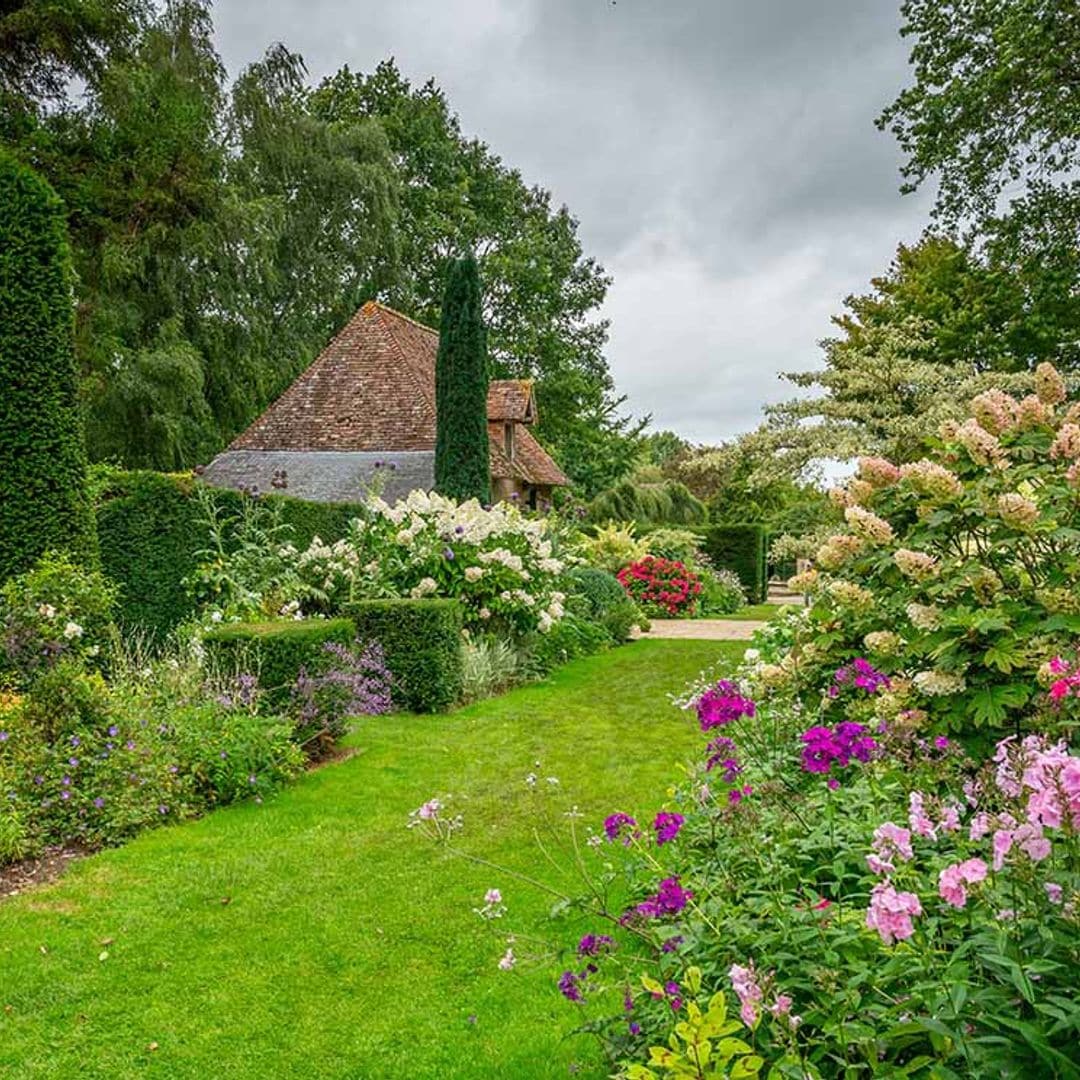 8 plantas con flores para cultivar en tu jardín este otoño