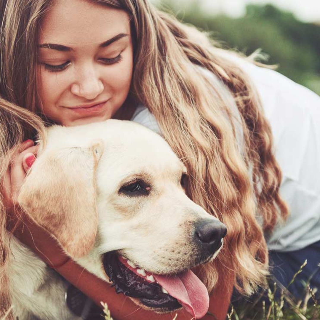 Así es como pueden ayudar los perros de terapia a los pacientes con problemas de salud mental