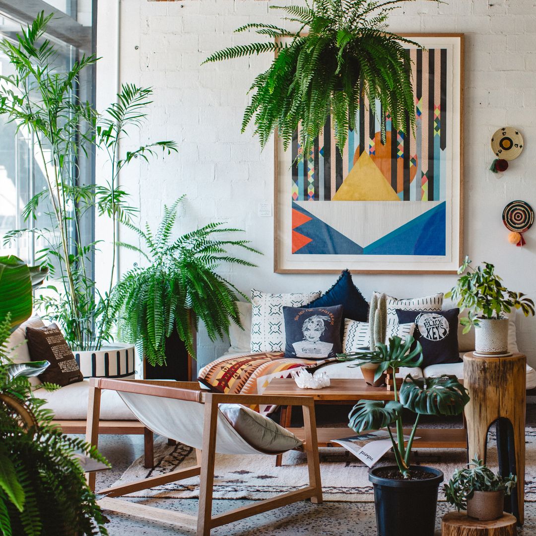 Dormir mejor, trabajar más concentrado y sentir menos estrés: todo lo que las plantas hacen por ti en casa