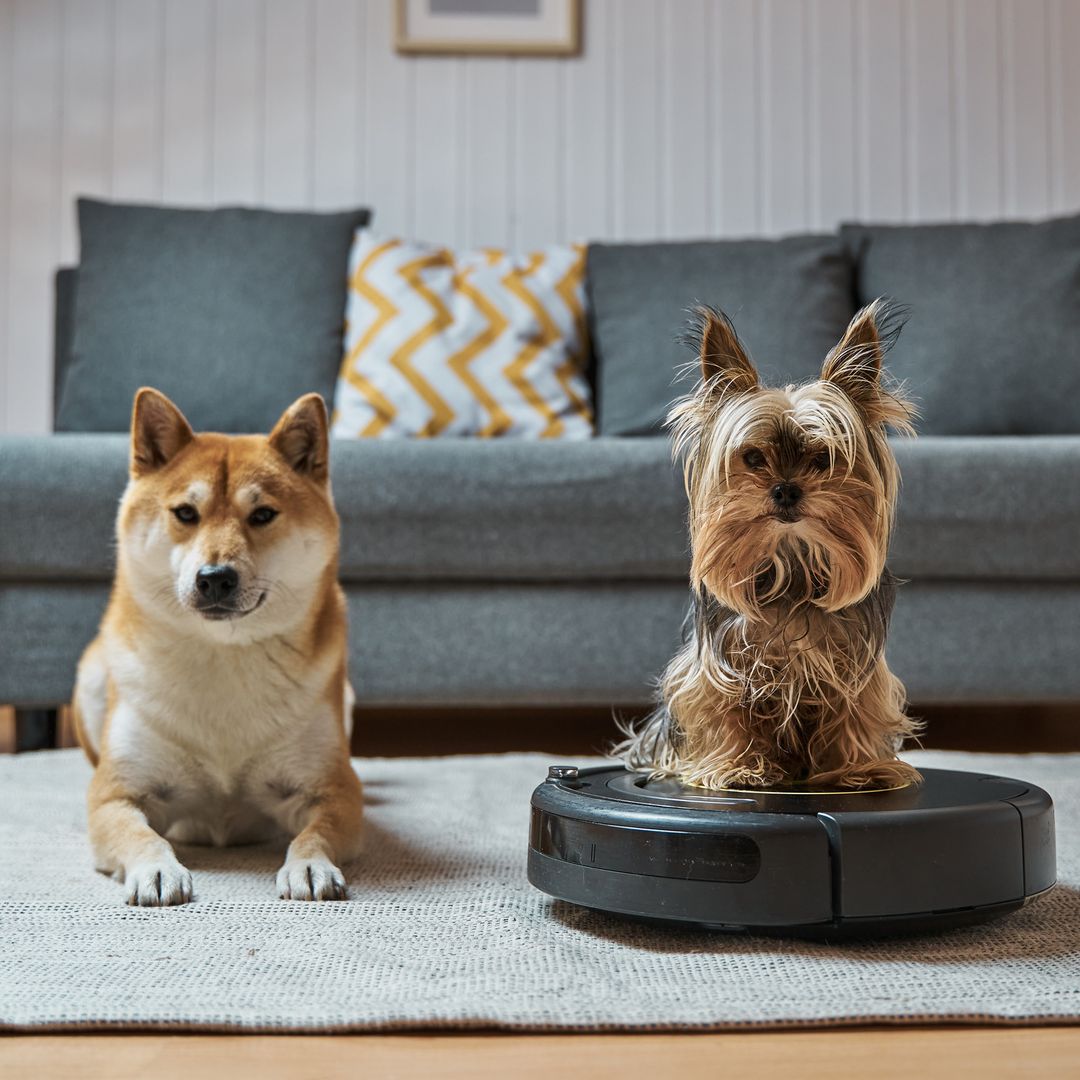 Los 6 mejores robots aspiradores para casas con mascota de 2025