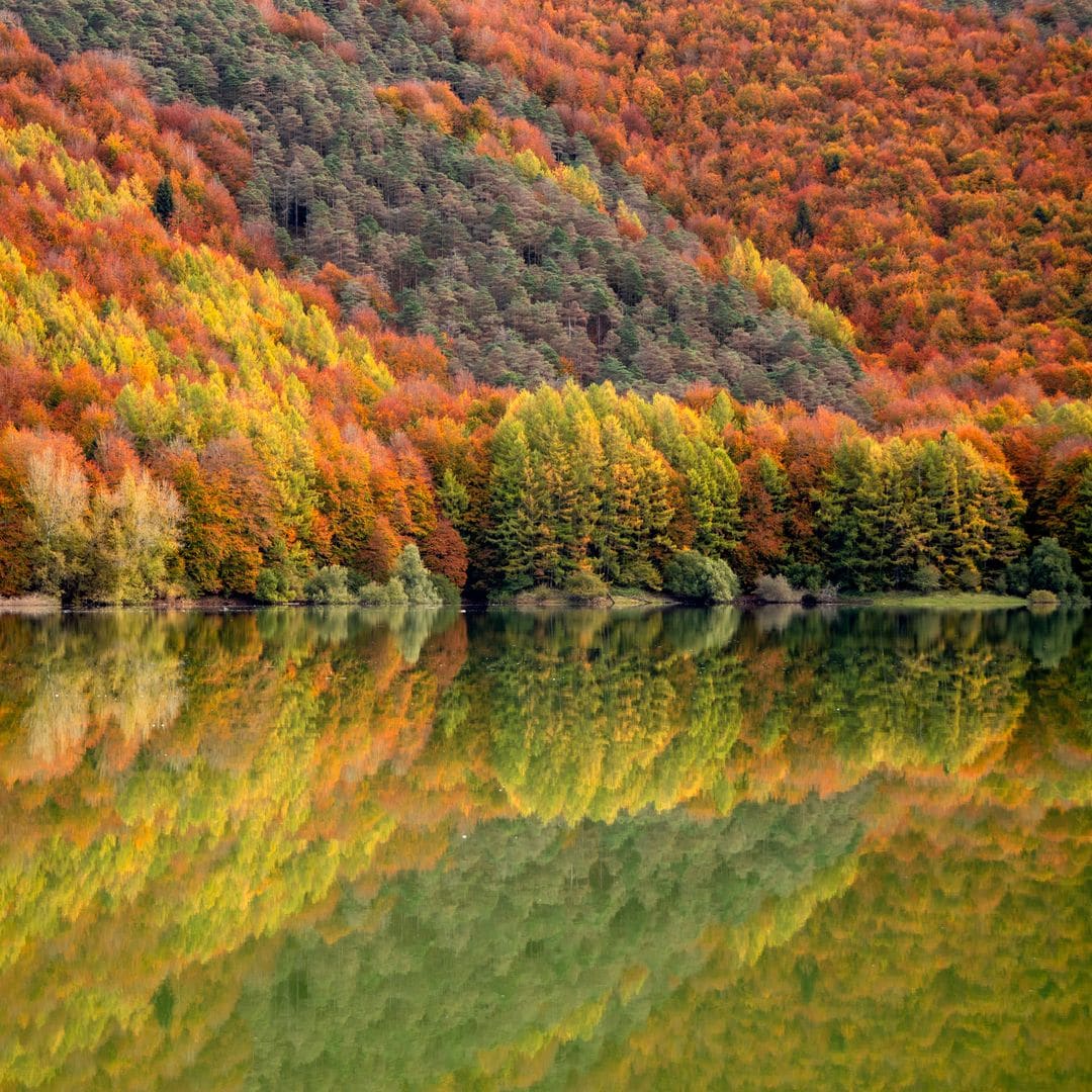 Los 15 bosques más bonitos y espectaculares de España para recorrer en otoño
