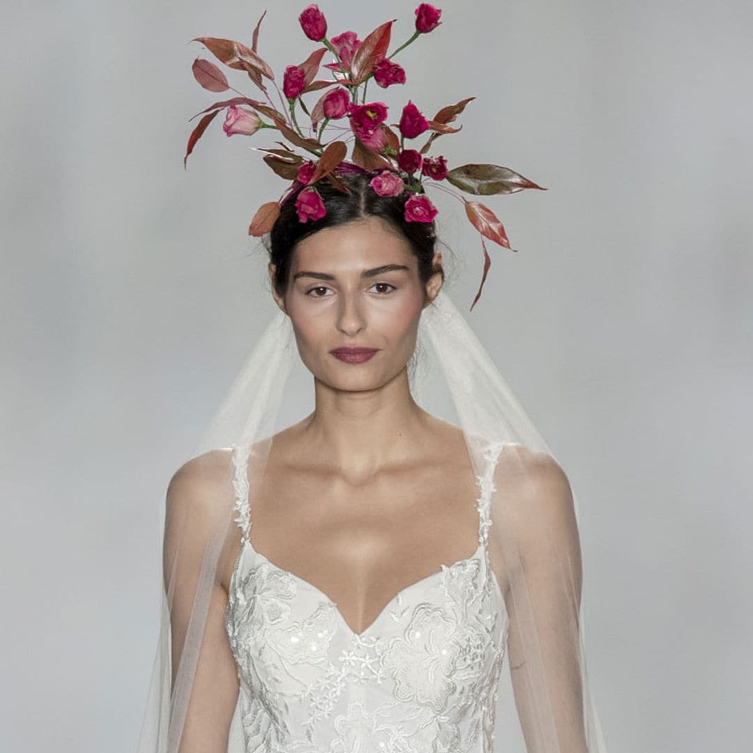 anne bargelooks1t