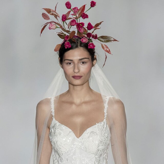 anne bargelooks1t