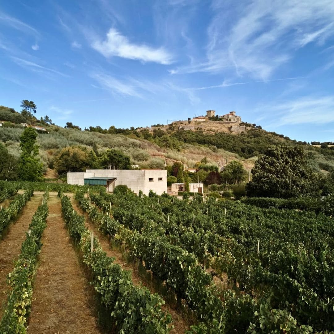 Bodegas Gargalo, Roberto Verino, Castillo de Monterrei, Ourense