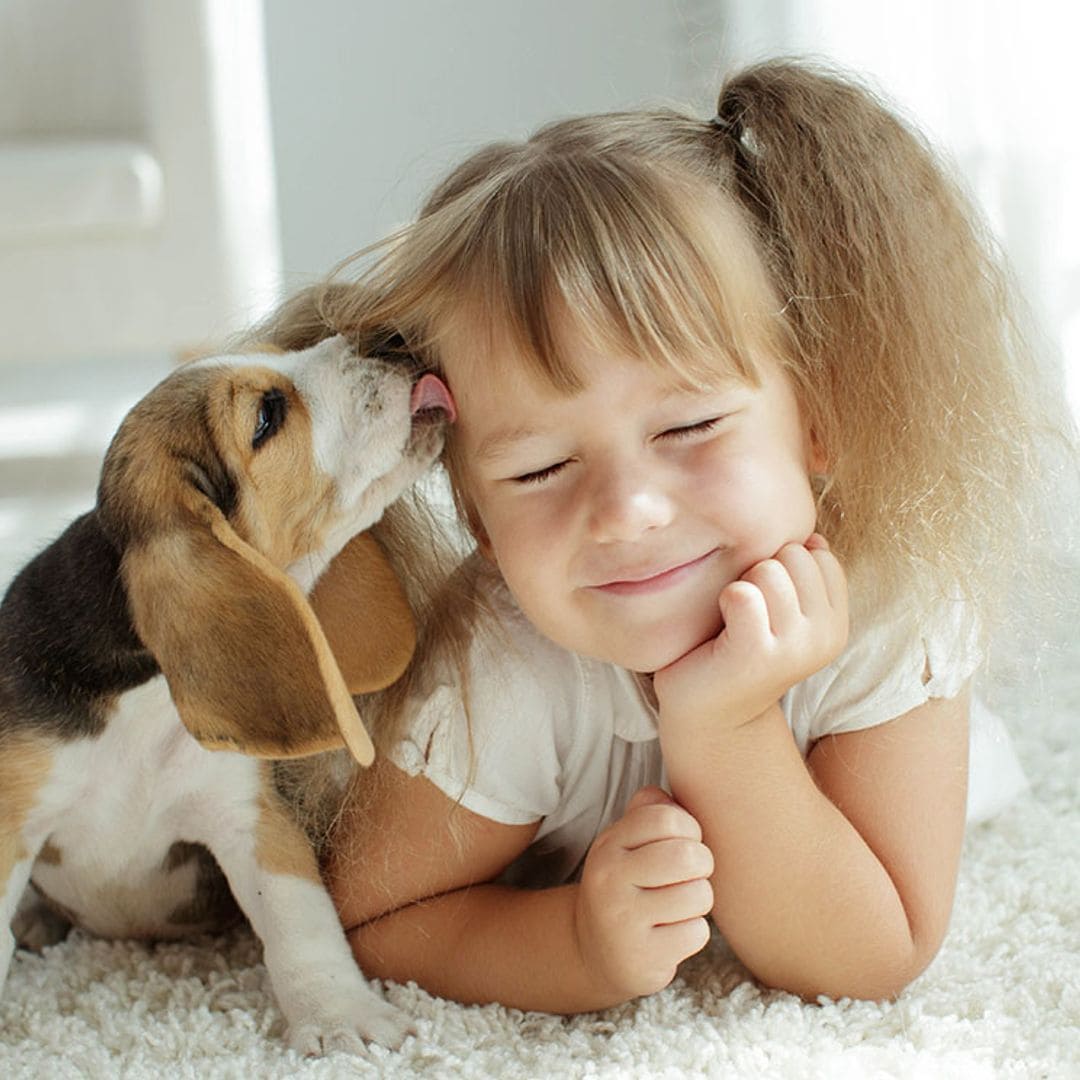 ¿Cuáles son las mejores mascotas para los niños?
