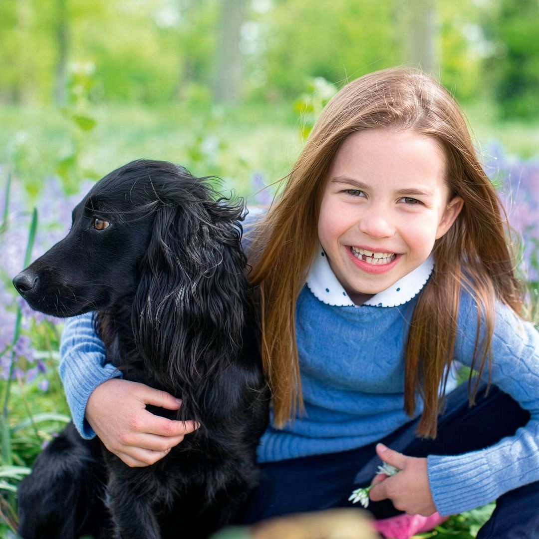 La sorprendente historia de la princesa Charlotte y su perrita Orla, la cocker spaniel de la familia Gales aficionada a la música