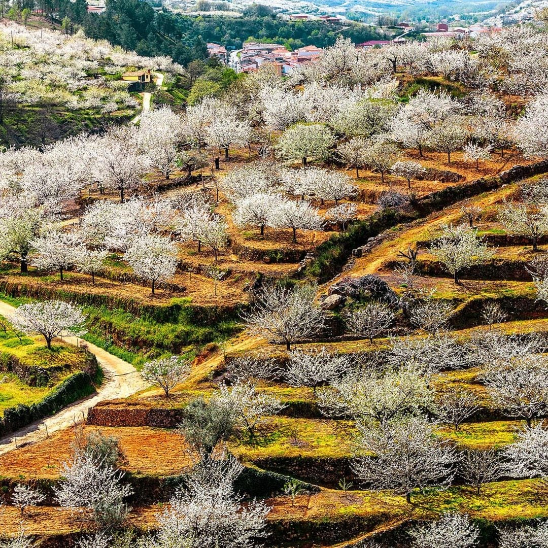 Valle del Jerte (Cáceres): rincones verdes del Jerte