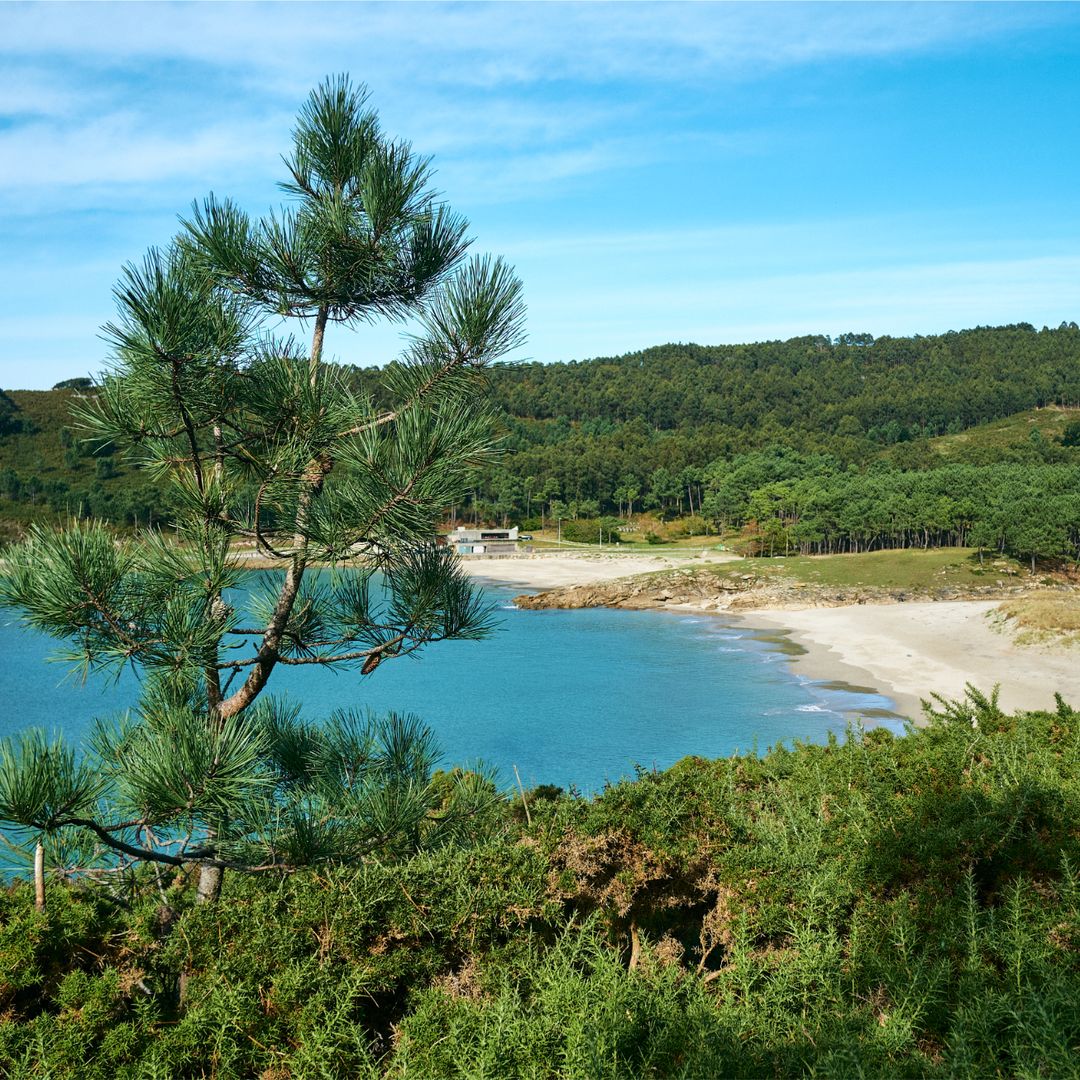 Playa Balarés, Ponteceso, A Coruña
